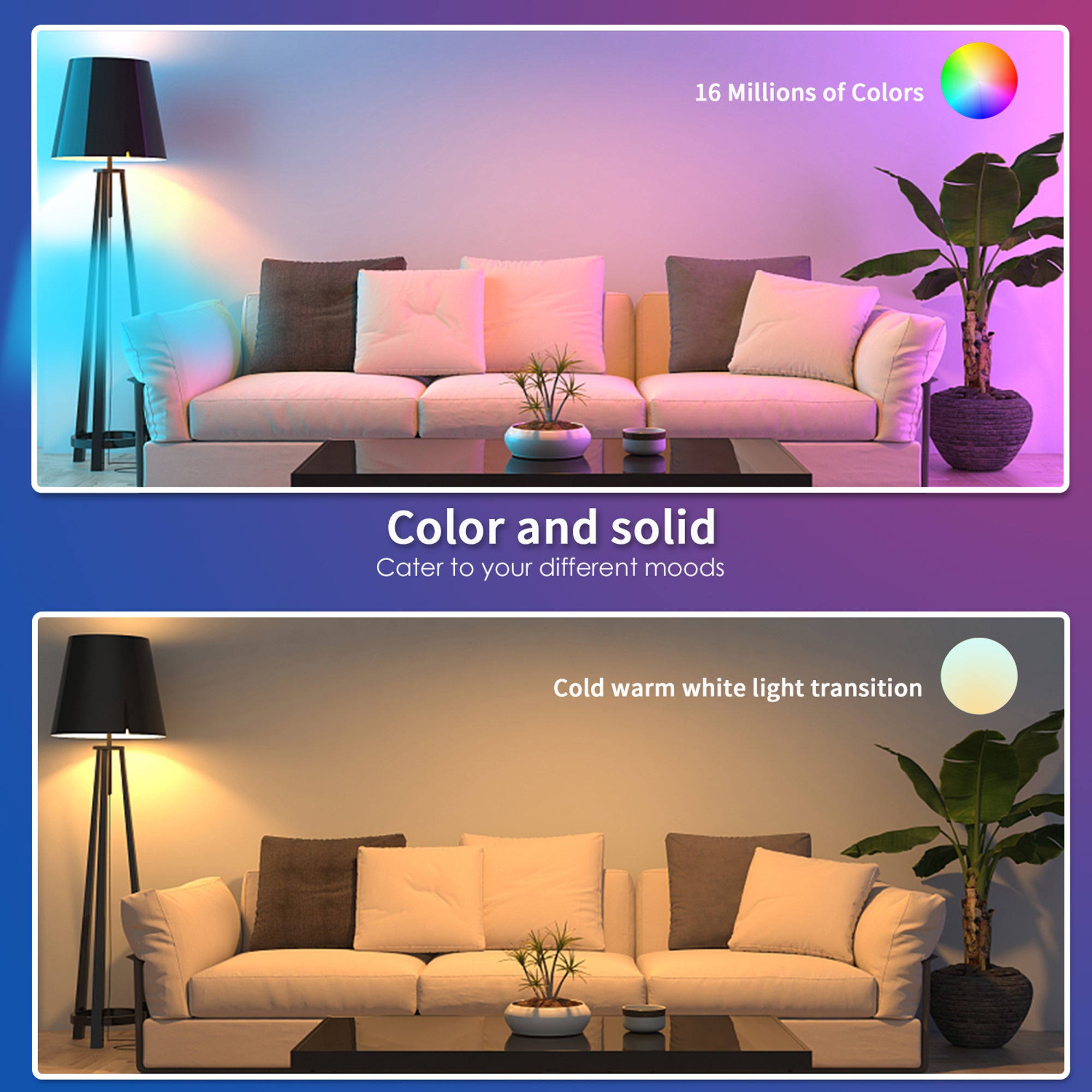 Colored Light Bulbs Room