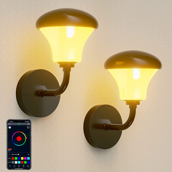 Zalap RGB Smart Outdoor Wall Light 16 Million Colors Changing